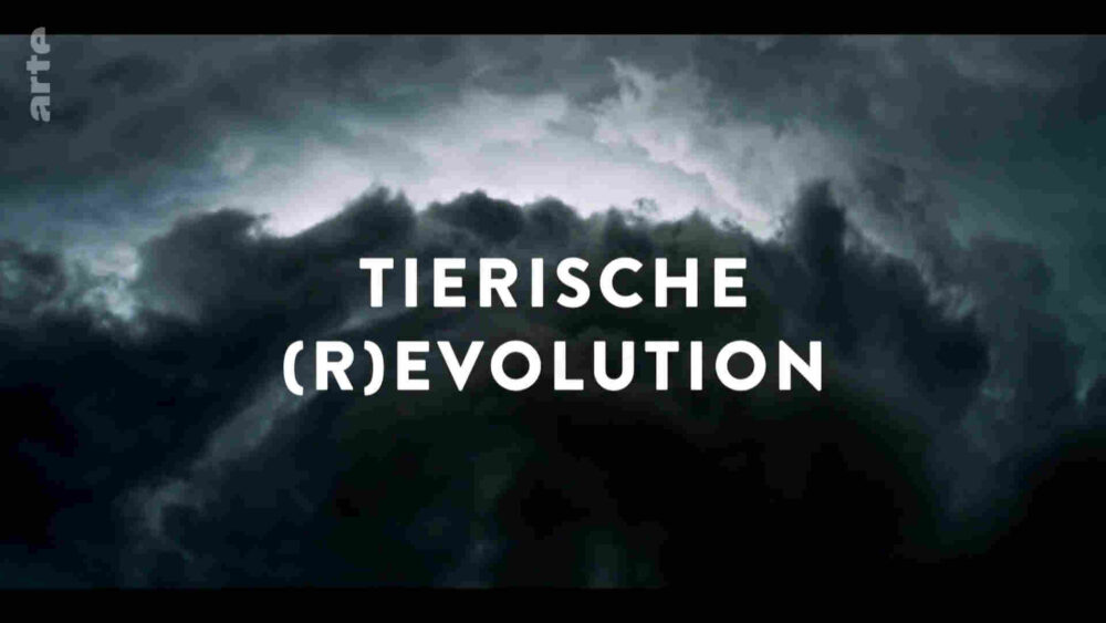 Espèces en voie d’adaptation
