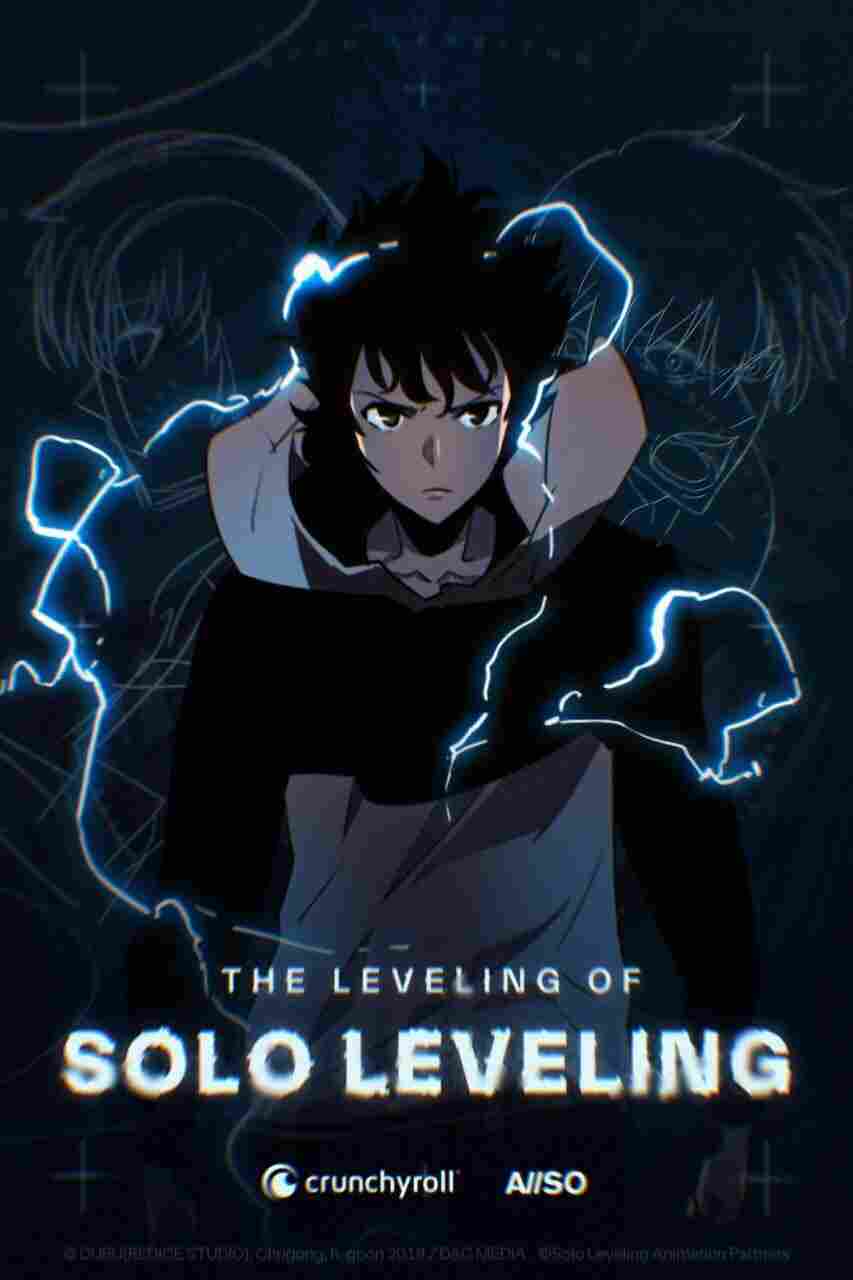 The Leveling of Solo Leveling
