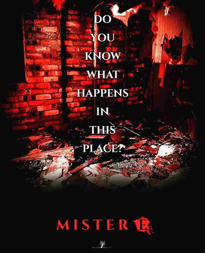 Mister E