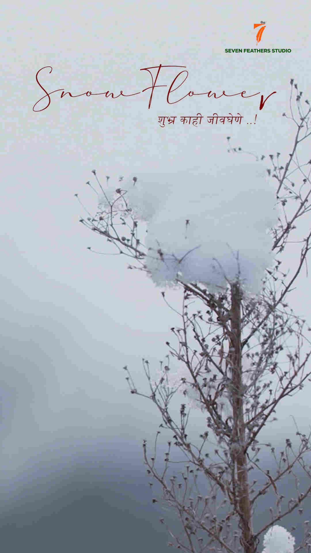 Snow Flower