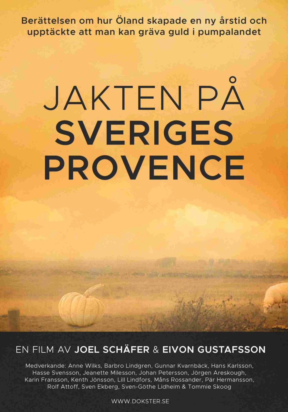 Jakten på Sveriges Provence