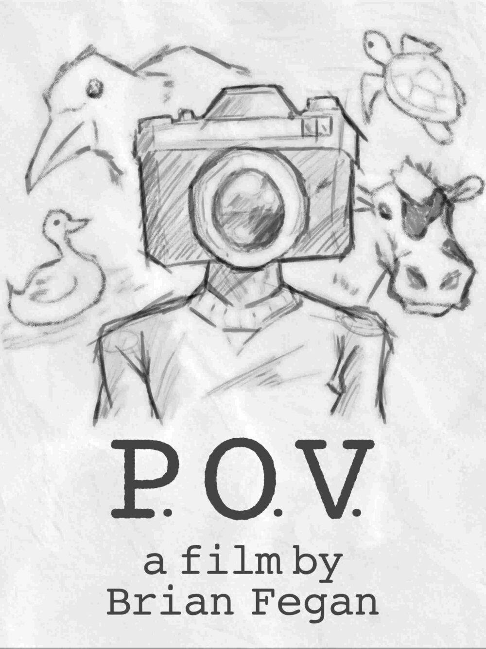 P.O.V.
