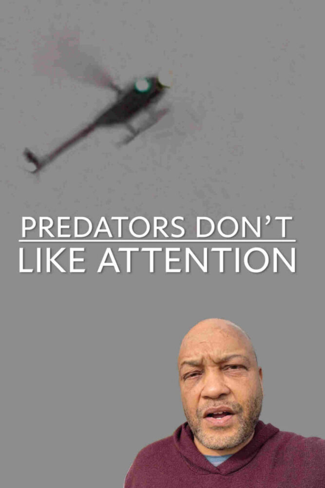 Predators Don’t Like Attention
