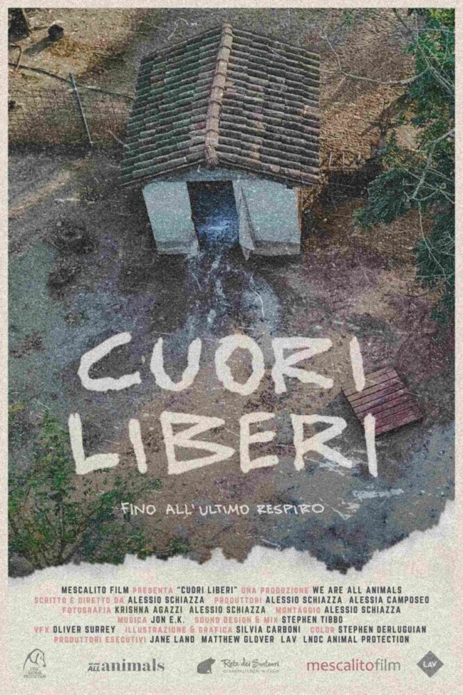 Cuori liberi