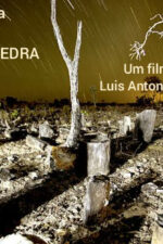 Floresta de Pedra