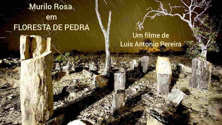 Floresta de Pedra