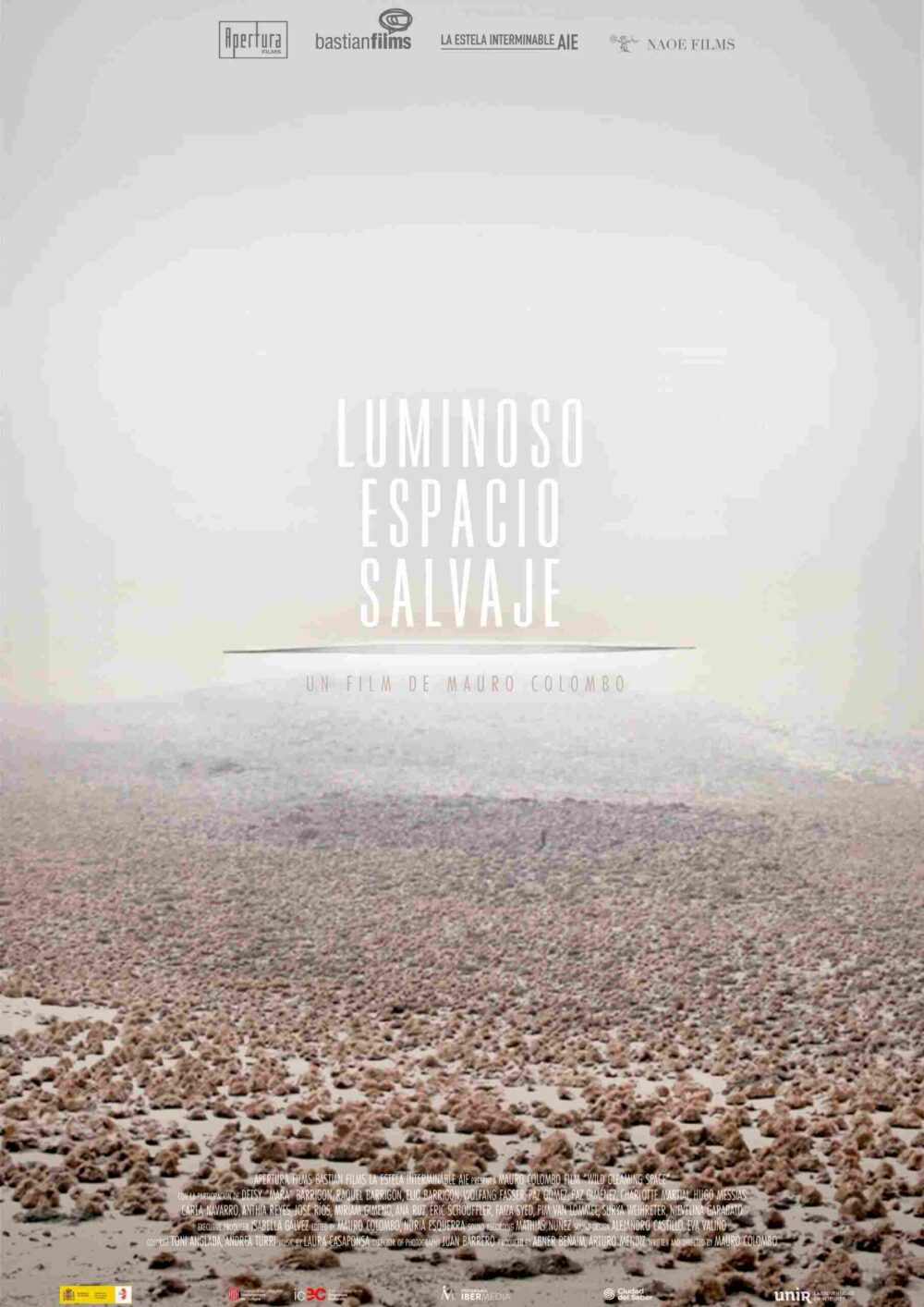 Wild Gleaming Space (Luminoso espacio salvaje)