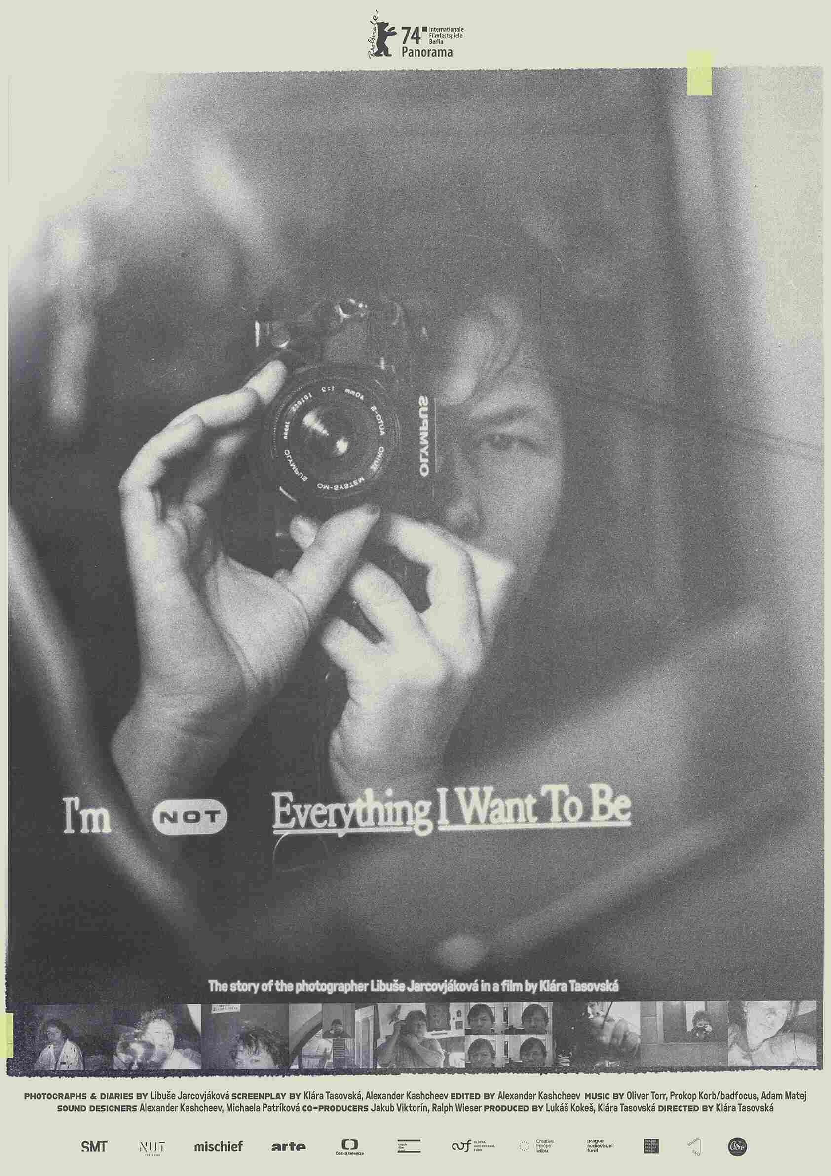 I’m Not Everything I Want to Be
