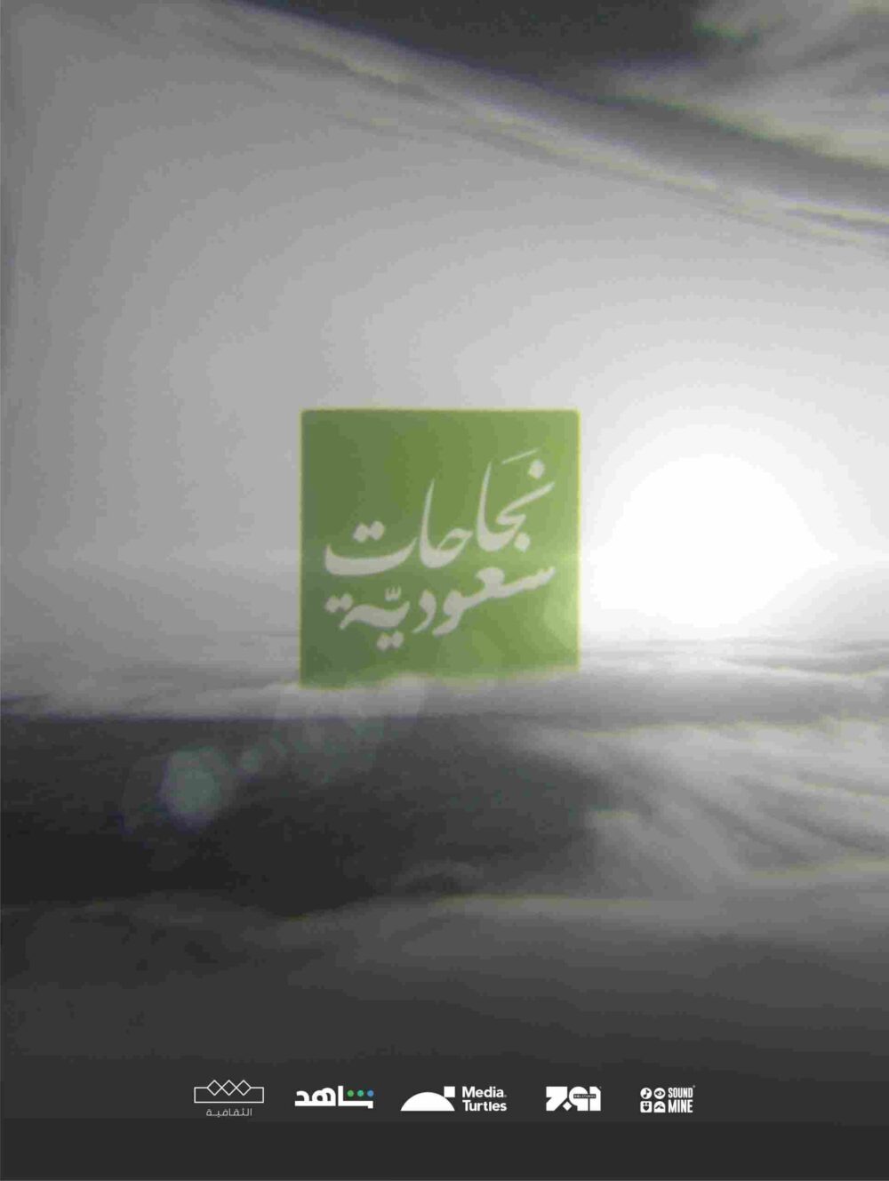 Saudi Successes